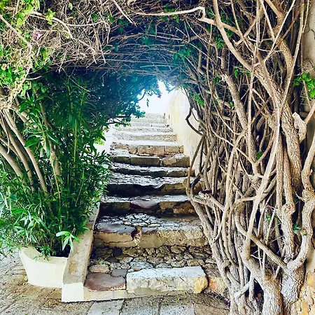 Prázdninový dům Casa Doce Do Algarve *