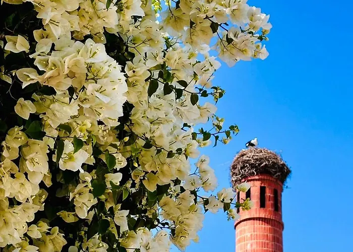 Casa Doce Do Algarve Holiday home Portimao